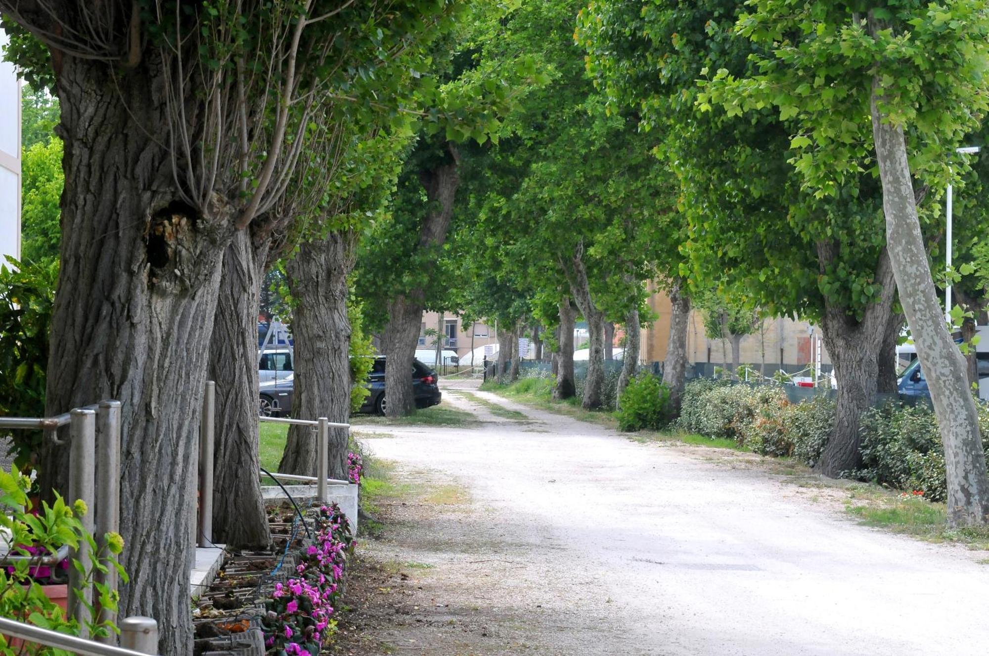 Stella - Casa Per Ferie Otel Bellaria-Igea Marina Dış mekan fotoğraf